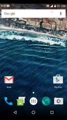 Nova Launcher Premium 4.3 beta