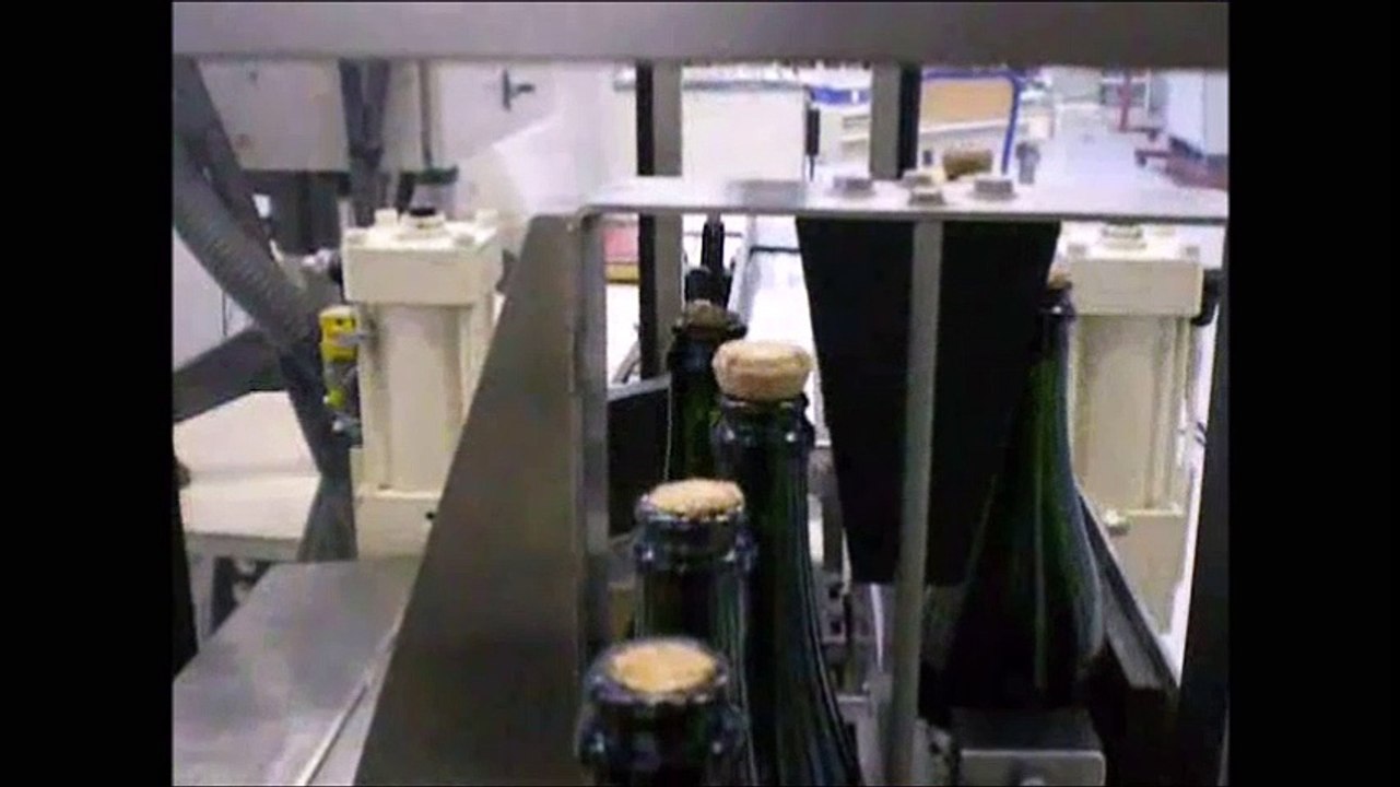 Agitateur de bouteilles MAINGUET