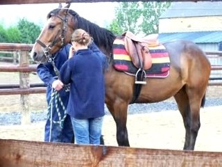 Mercredi 13 Juin : Mon Pédro avant d'être monté...