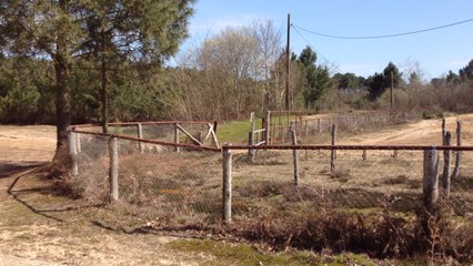 A Méca sports, la passion de l'adrénaline