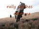 rally crash extreme