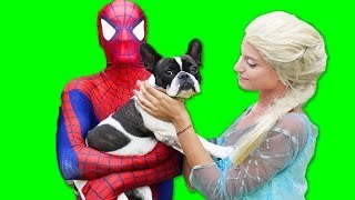 Spiderman vs Joker vs Frozen Elsa - Elsa's Dog Kidnapped - Real Life Superheroes Movie