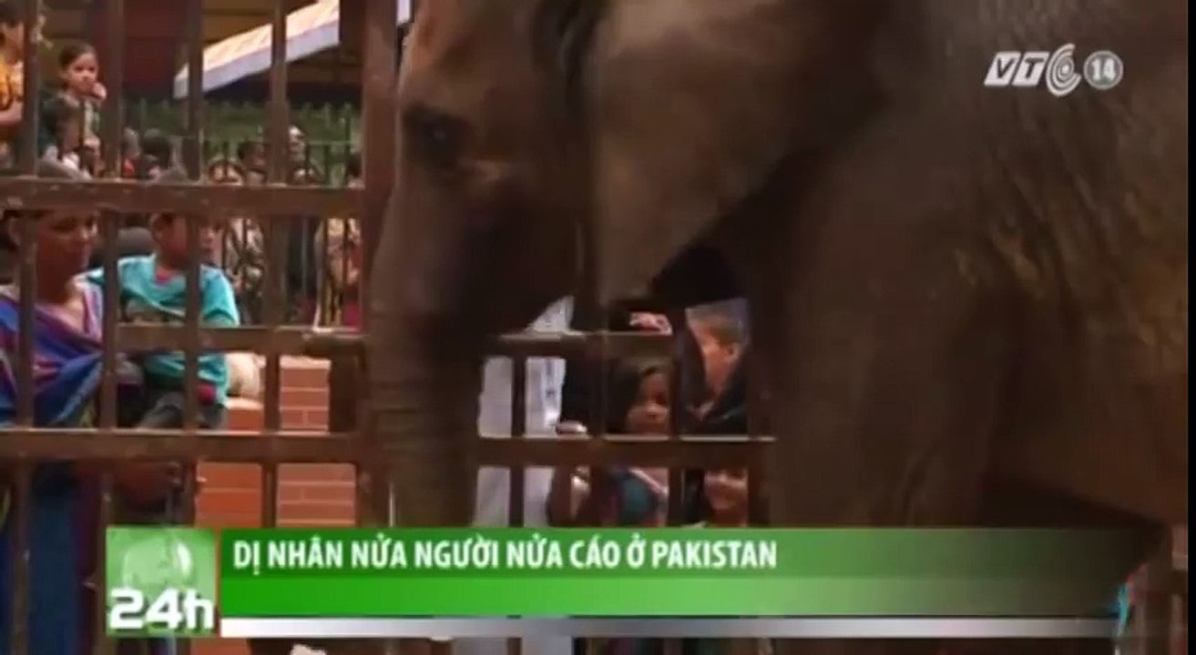 VTC14_Dị nhân nửa người nửa cáo ở Pakistan