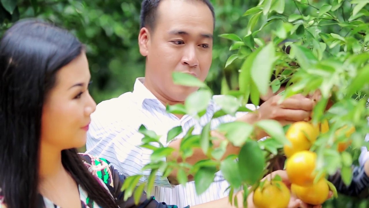 Những Chiều Mưa Yêu Dấu - Dương Hồng Loan