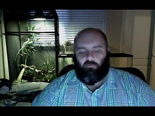 Z code system review testimonials