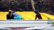 Taiji Dolphins Man handled on a skiff for Captivity and training 01/20/13