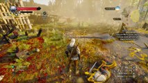 WITCHER 3 DEATH MARCH! WALKTHROUGH 13 - MISSING IN ACTION