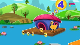 Five Little Ducks   Nursery Rhymes