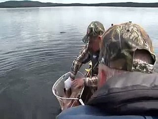 Newfoundland Sportsman releasing a huge brook Trout at Igloo Lake Labrador
