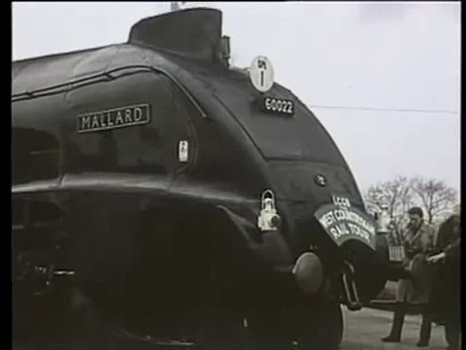 Mallard in 1963