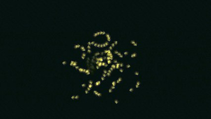 Full_HD_Green_Screen_dots_particals_Effects_Free