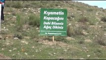 Agd Şehitler İçin Fidan Dikti