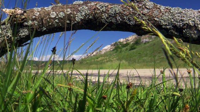 Audi A3 Sedan S-line TDI Interior, Exterior and Drive