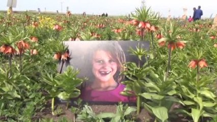 Ters Lale Tarlasında Fotoğraf Sergisi