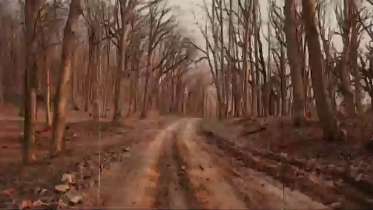 Ozan Doğulu feat Sezen Aksu - Kaybolan Yıllar