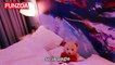 Teddy Bear Singing Song Video 2016