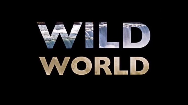 Мир Дикой Природы 04. На грани выживания