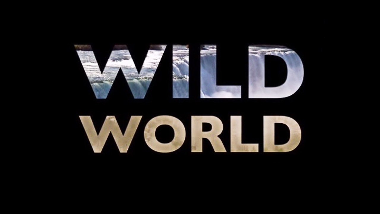 Мир Дикой Природы 04. На грани выживания