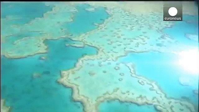 Great Barrier Reef suffers worst coral bleaching on record