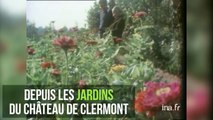 Louis De Funès et son amour de l'agriculture biologique