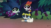 Mayor Mayday | Powerpuff Girls | Cartoon Network