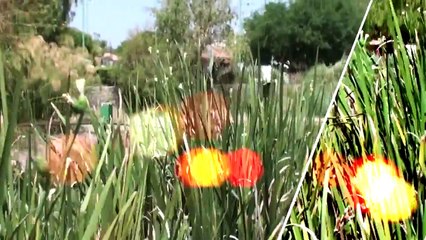 Centro Artesanal la Canoa, Villa Progreso, Queretaro.