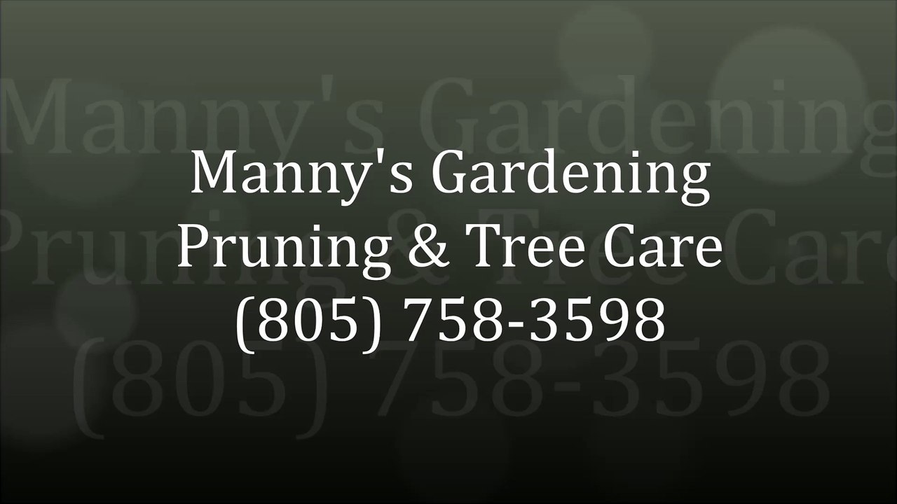 Manny's Gardening Pruning & Tree Care - (805) 758-3598