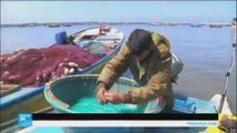 إسرائيل توسع مساحة صيد الأسماك في جنوب قطاع غزة