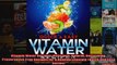 Read  Vitamin Water Recipes Delicious Natural Refreshing Preservative Free Recipes for a  Full EBook