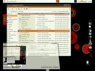 Ubuntu-beryl-kiba-awn