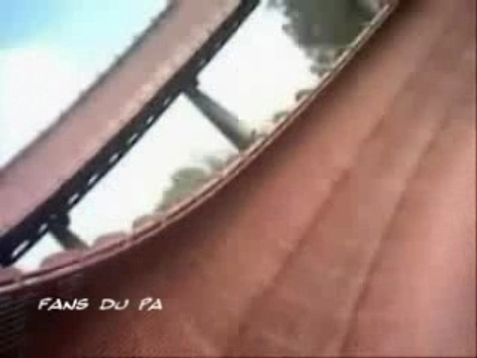 RCPA - Roller coasters au Parc Astérix