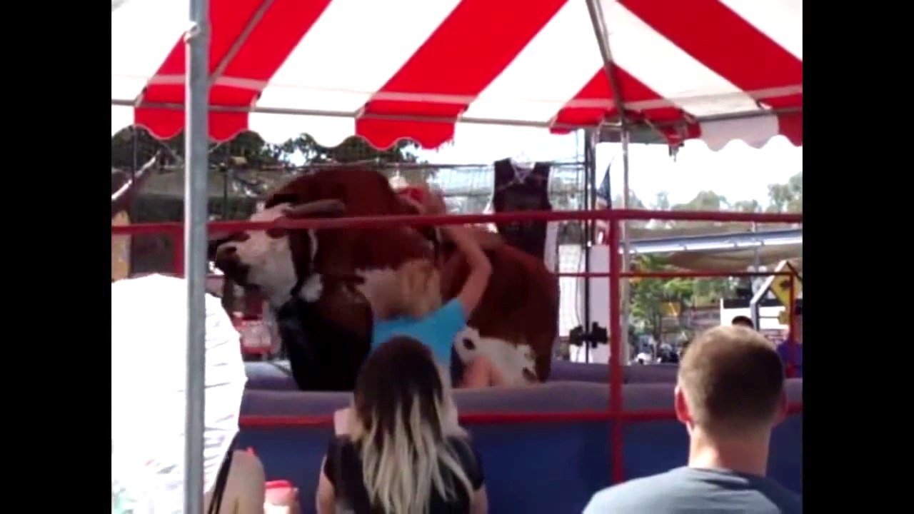 Funny videos