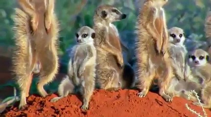 Когда поздно ложишься