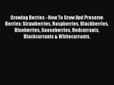 Download Growing Berries - How To Grow And Preserve Berries: Strawberries Raspberries Blackberries