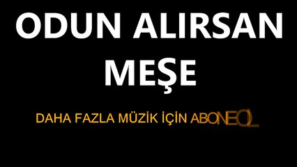 ODUN ALIRSAN MEŞE