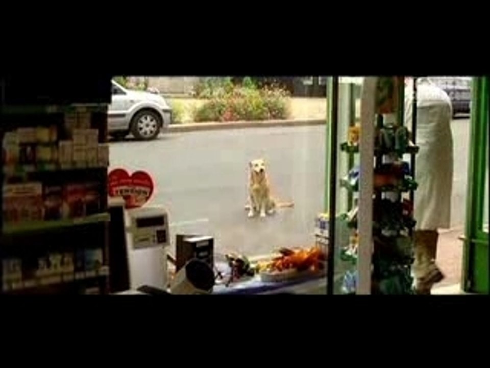 Fragile(s) Bande annonce film