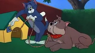 Tom and Jerry - jerry & dog