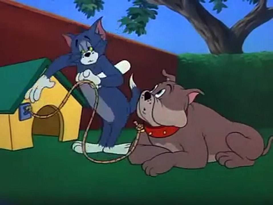 Tom and Jerry - jerry & dog