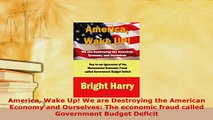 Download  America Wake Up We are Destroying the American Economy and Ourselves The economic fraud Read Full Ebook