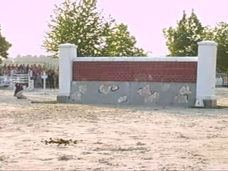 Grand Prix + puissance 136