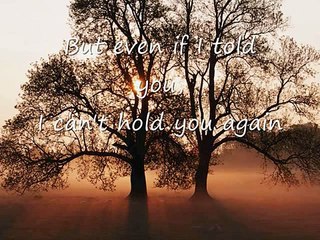 Everytime I See You - Fra Lippo Lippi