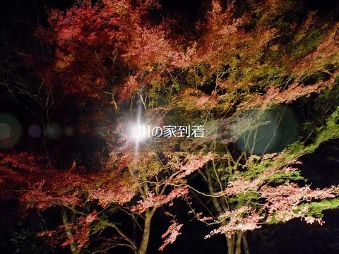 つげ義春に会いに行く旅－養老（年金）温泉「川の家」へ (貧困旅行記)2013　音楽：作詞：寺山修司　20160402制作