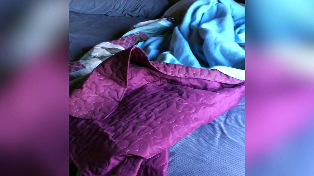 Couples Break Up For A Week • Ned & Ariel