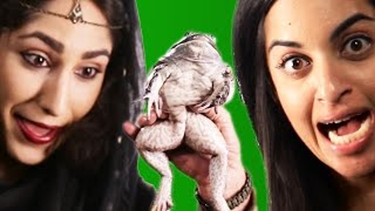 Princesses réels Baiser Une grenouille réelle