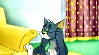 Tom And Jerry Cartoon    Quiet Please
