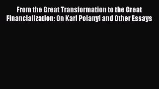 Read From the Great Transformation to the Great Financialization: On Karl Polanyi and Other