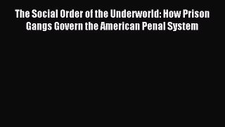 Download The Social Order of the Underworld: How Prison Gangs Govern the American Penal System