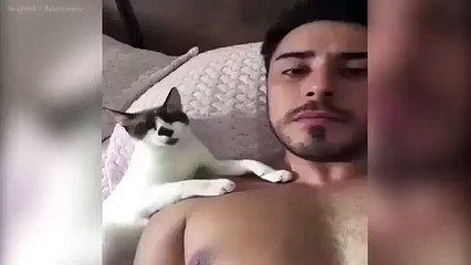 Paw-sitively adorable cat keeps planting kisses on owner