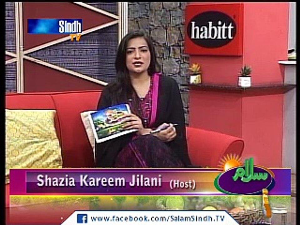 salam sindh 04-04-2016 part 04 of 06