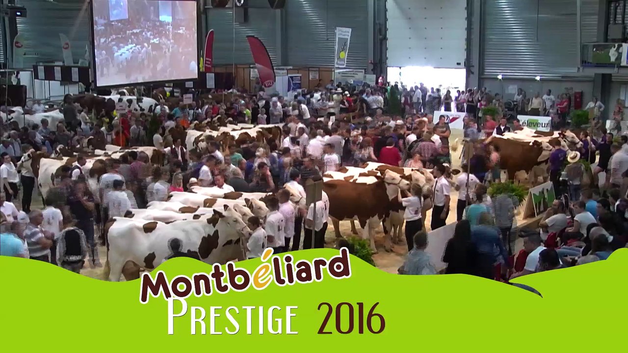 Montbéliard Prestige Streaming Live